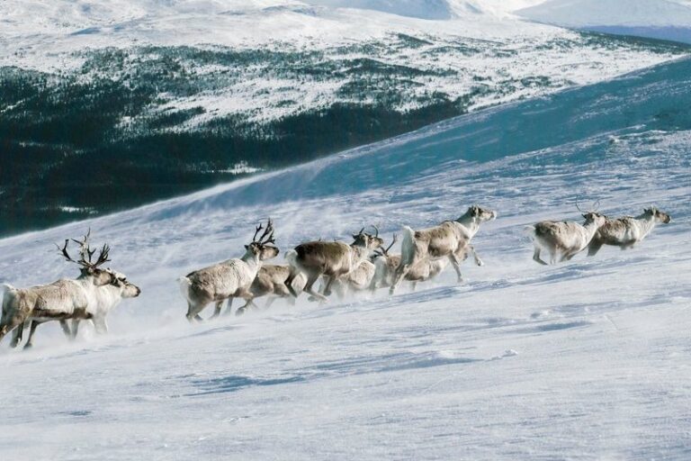 Viajes Aratours - Viajes a medida